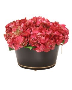 Hot Pink Hydrangea in Black Oval Planter with Gold Trim
