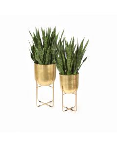 Sanserveria Plant Stand Set of 2