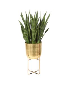 Sansevieria Plant Stand- Small