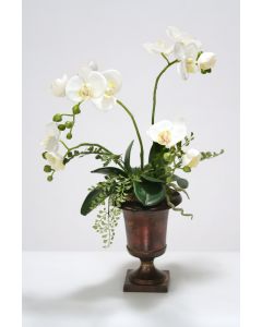 White Phalenopsis Orchid Plant in Bronze Metal Urn