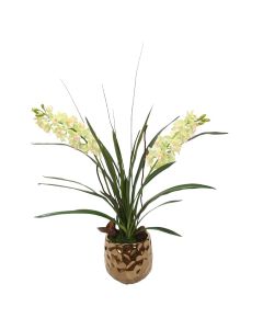 Green Cymbidium Orchids in Burnt Gold Gabbi Planter