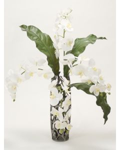 Cream White Orchid and Tacca Leaf with Honeycomb in Open Weave Vase