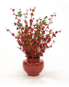 Brick Red Blossoms in Red Vase