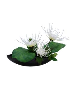White Fugi Mums in Black Oval Planter