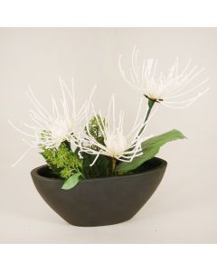 White Fugi Mums in Black Oval Planter