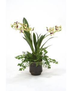 Vanda Orchid in Dark Bronze Pot