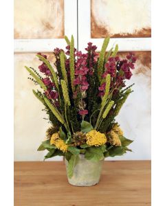 Delphiniums in Weathered Antique White Clay Pot