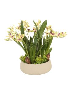 ORCHID WITH SUCCULENT AND GRASS IN GREY PLANTER