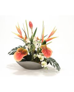 Heliconia