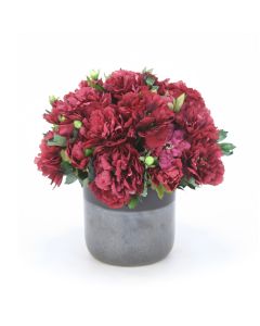 Burgundy Peonies in Two Toned Black Pot