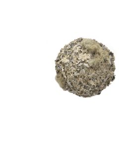 Lichen Mossed Balls (Set of 4)
