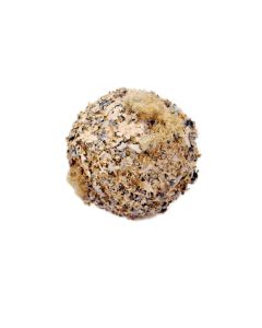 Lichen Mossed Balls - Large Natural (Set of 4)