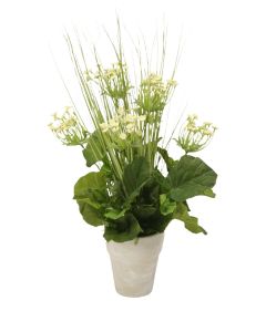 Queen Anne Lace with Grass in Clay Pot (Set of 2)