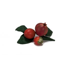 Pomegranate and Persimmon Pick x 3 with Leaves