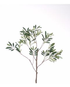 Olive Leaf Spray in Green