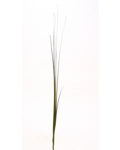 37" Pvc Grass