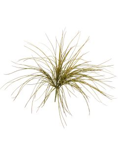 Onion Grass Bush in Olive Green