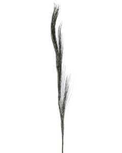 52"Steppe Grassdark Green (Soft Long Needle Pine)