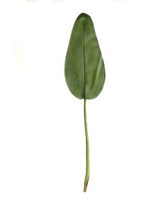 50" Bird of Paradise Plastic Leaf in Green