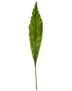 41" Plastic Anthurium Leaf in Green