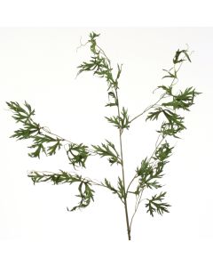 Delphinium Foliage Vine in Green