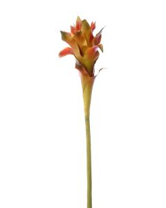 36" Large Guzmania Stem (Sold in Multiples of 12)