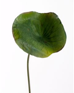 27" Plastic Lotus Leaf Stem in Green