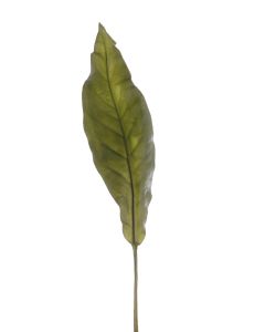 25.5" Plastic Tacca Orchid Leaf in Green (Sold in Multiples of 12)