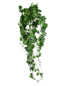 Geranium Leaf Hanging Bush
