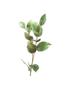 31" Basil Leaf