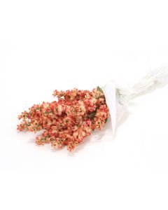 Dried Flower Stock