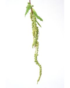 Hanging Amaranthus Spray (33.5") Green