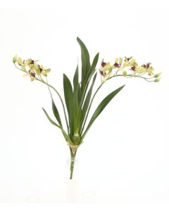 18" Vanda Orchid with Plant in Green