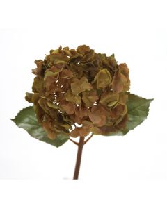 16" Large Hydrangea Pick in Green Brown
