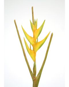 Heliconia Stem in Yellow (Sold in Multiples of 6)