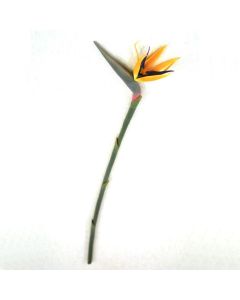 40" Bird of Paradise Stem Orange (Sold in Multiples of 12)