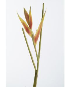 Heliconia Pick, 24" Dark Orange