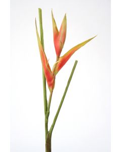 Heliconia Pick, 24" Dark Rose