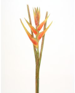 43.5"Heliconia Stem Dark Orange