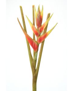 43.5" Heliconia Stem in Dark Rose (Sold in Multiples of 4)