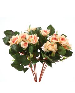 Pointed Rose Bush in Peach