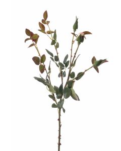Rose Foliage Stem with 2 Green Buds and 1 Flower Bud in Cream Pink