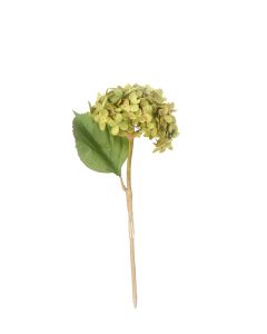 13" Hydrangea Pick Green Brown