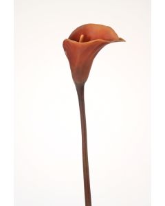 30.5" Cally Lily Stem in Dark Brown (Sold in Multiples of 12)