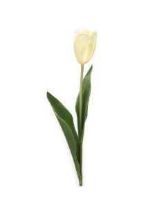 25.5" Tulip Stem with 2 Leaves in White