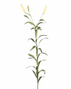 40" Tiger Lily Bud Spray in Soft Yellow