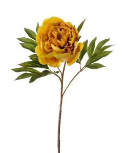 28" Peony Stem X 1 with Autumn Lf Antique Gold