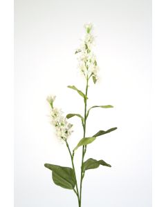 Japanese Lilac Spray in Candlelight