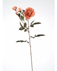 Large Nun Rose Spray in Peach