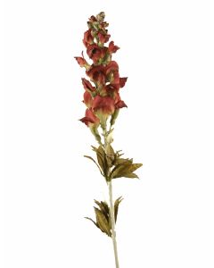 Snapdragon Spike in Burgundy Green